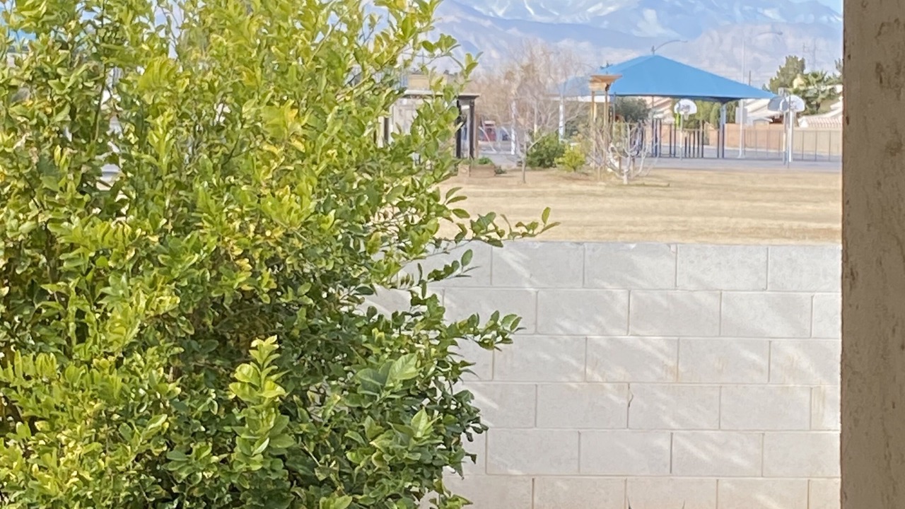Photo of Outdoor in Sunrise Manor