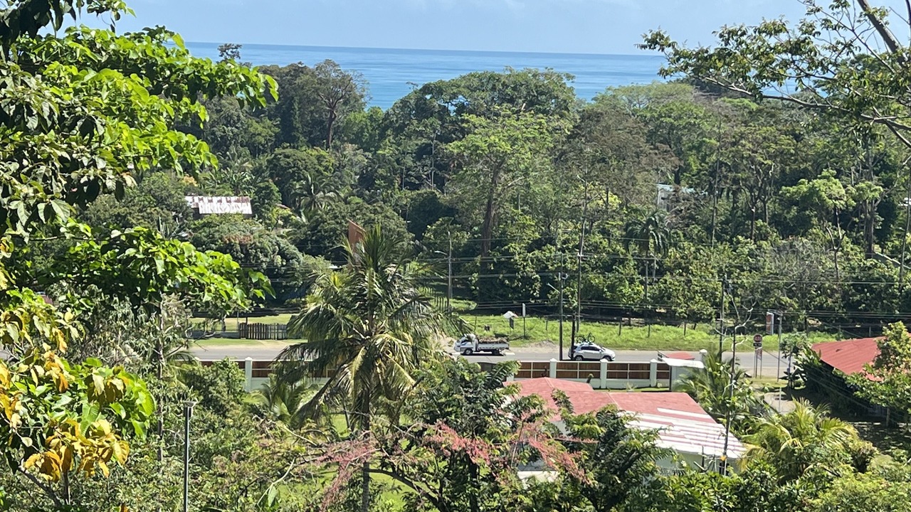 Photo of Others in Cahuita
