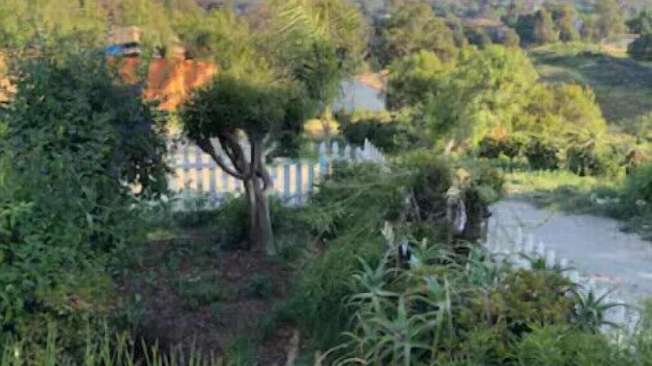 Photo of Outdoor in Central Malibu