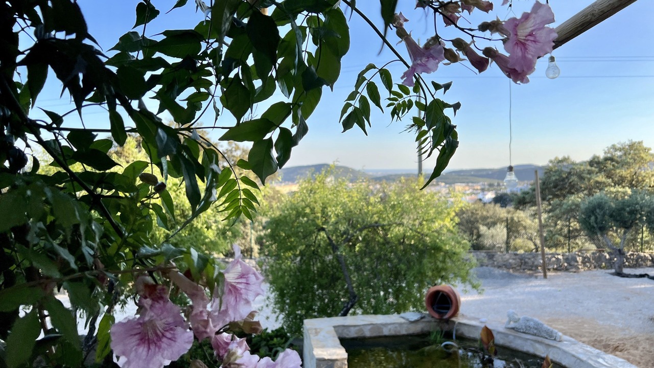 Photo of Outdoor in Campina