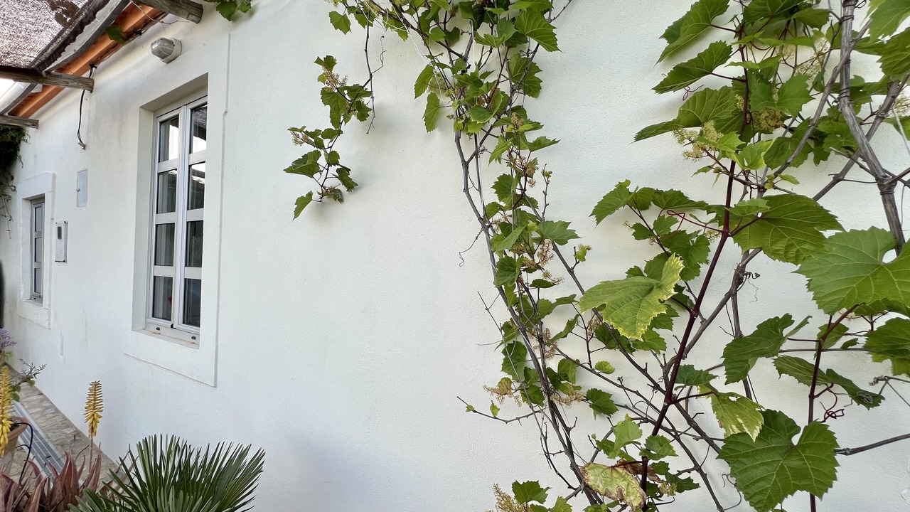 Photo of Outdoor in Campina