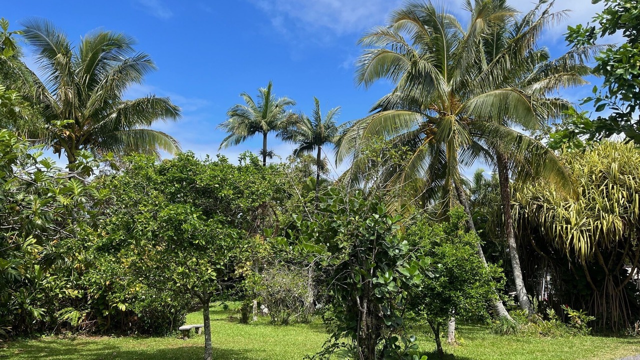 Photo of Outdoor in Pauwela