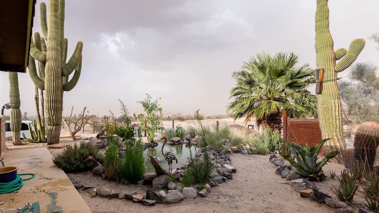 Photo of Others in Twentynine Palms