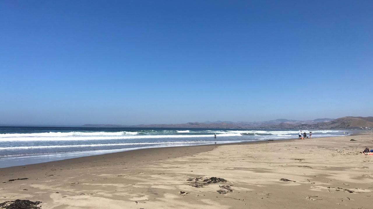 Photo of Others in Morro Bay