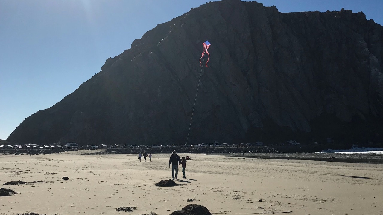 Photo of Others in Morro Bay
