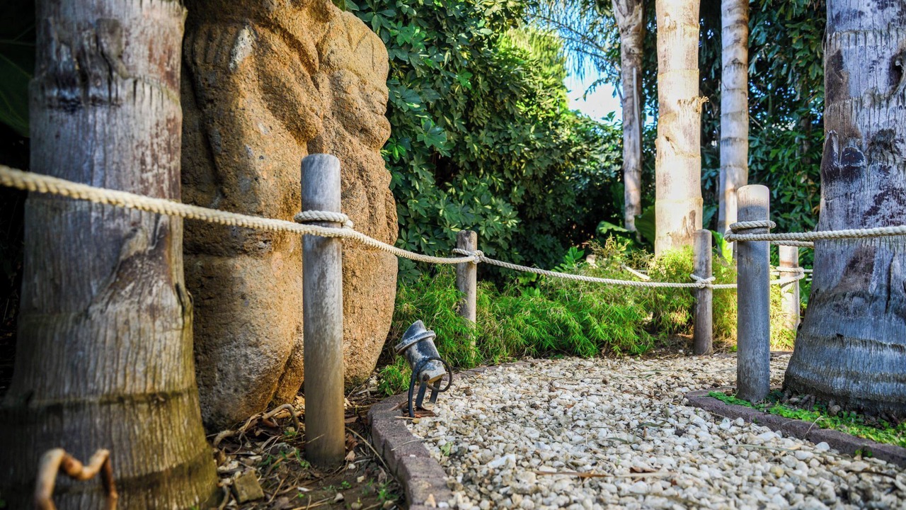Photo of Others in San Juan del Sur