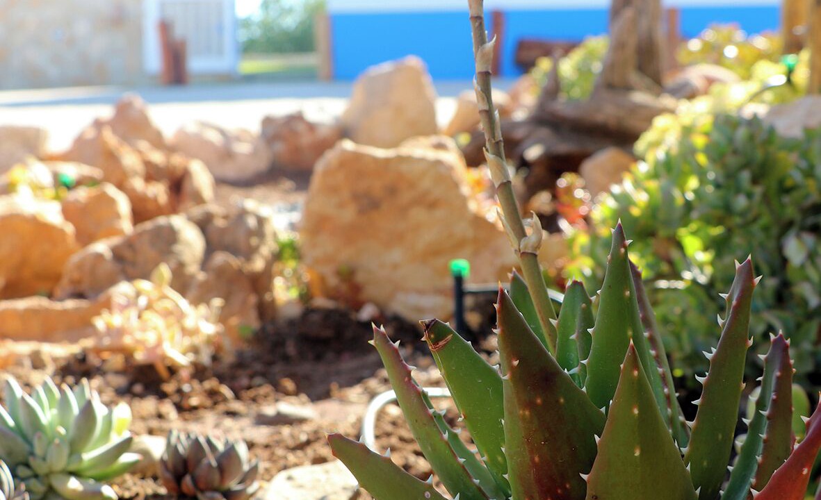 Photo of Outdoor in Lagos