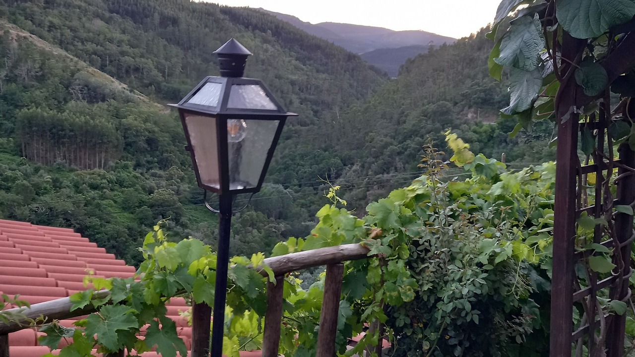 Photo of Outdoor in Gois
