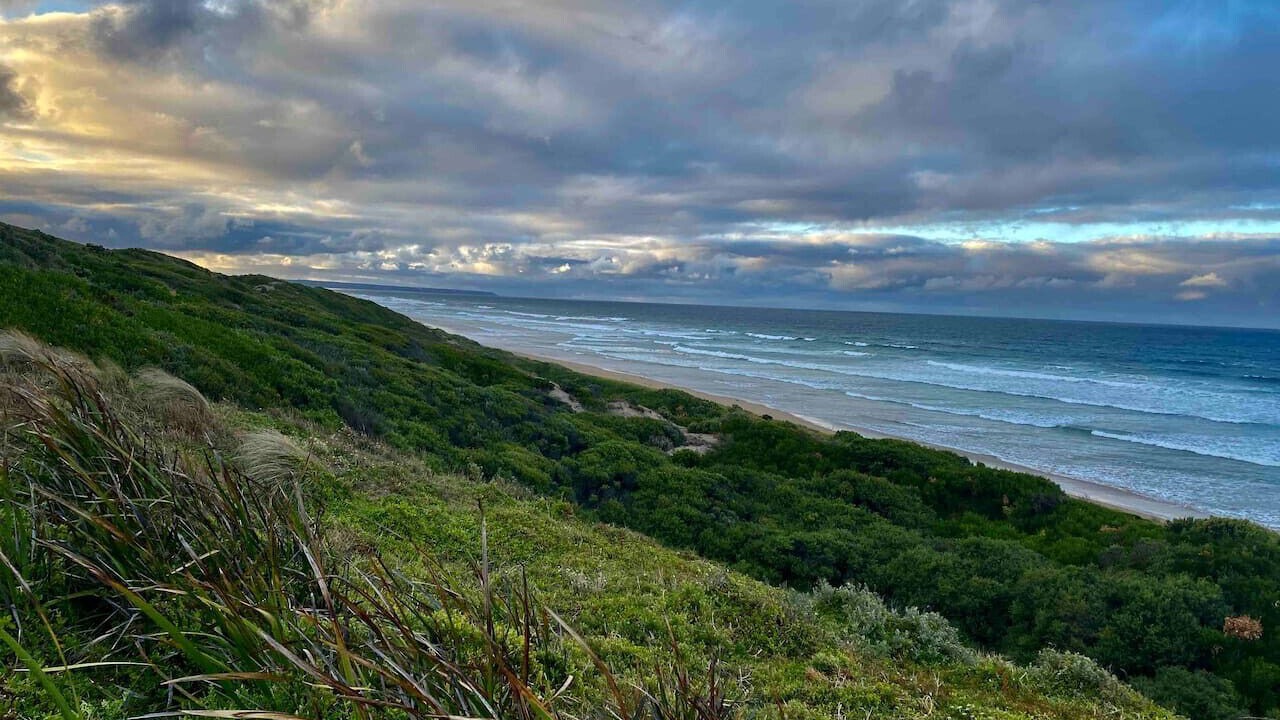 Photo of Others in Venus Bay