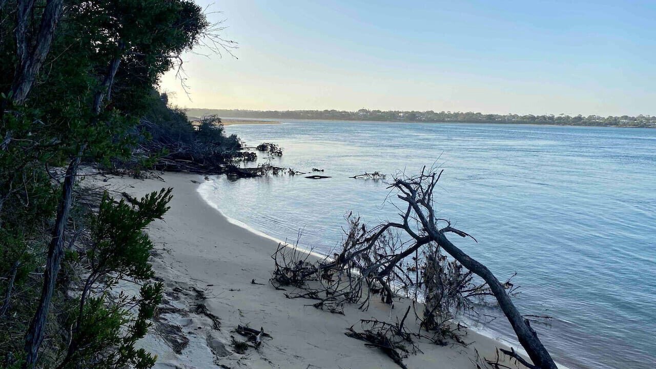 Photo of Others in Venus Bay