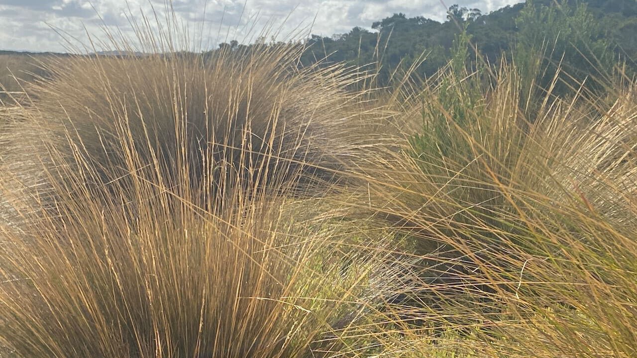 Photo of Others in Venus Bay