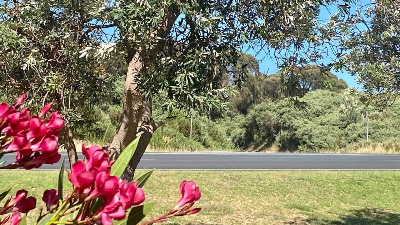 Photo of Outdoor in Venus Bay