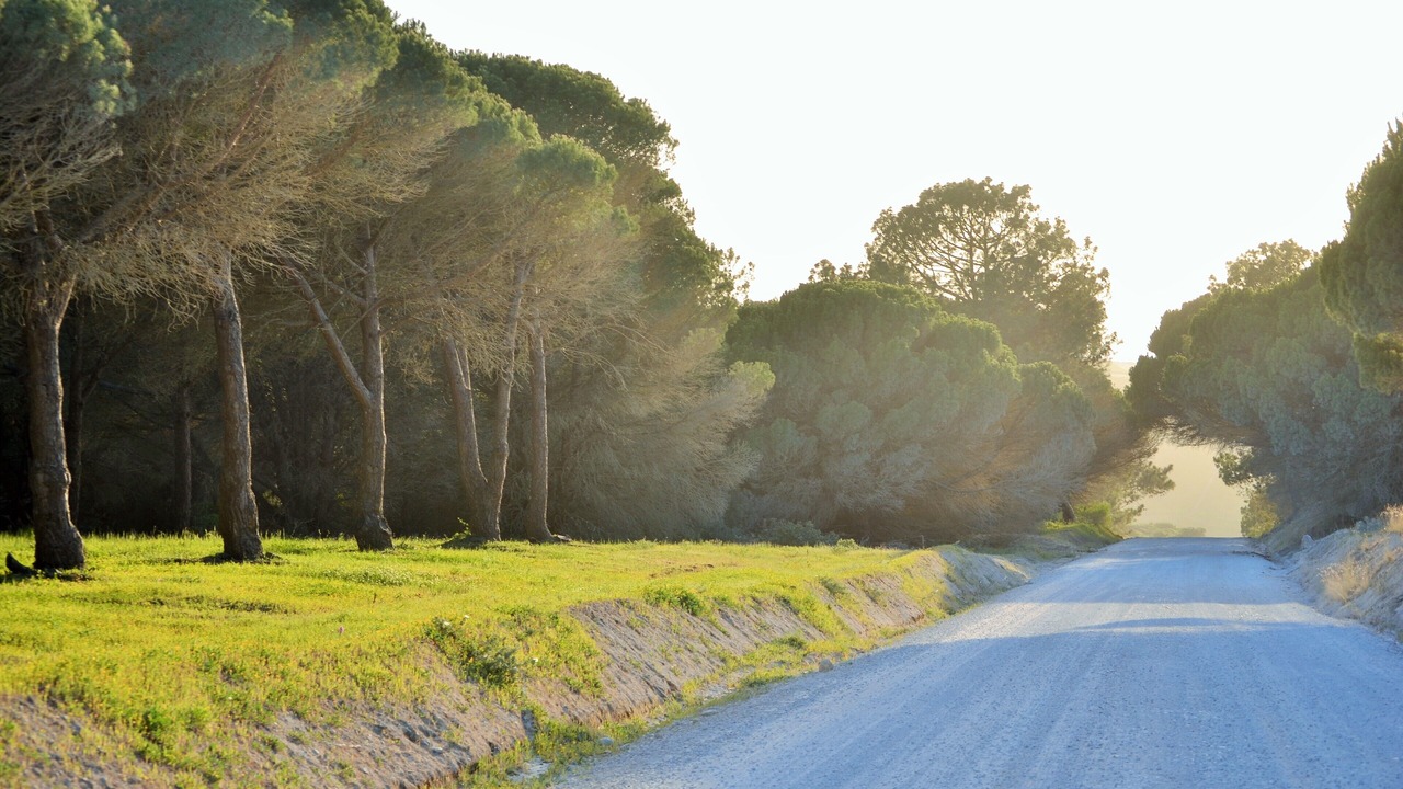 Photo of Outdoor in Meco