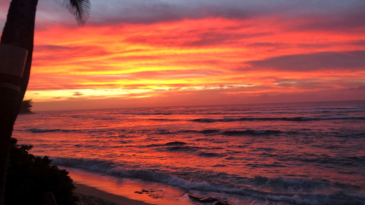 Photo of Others in Mokuleia