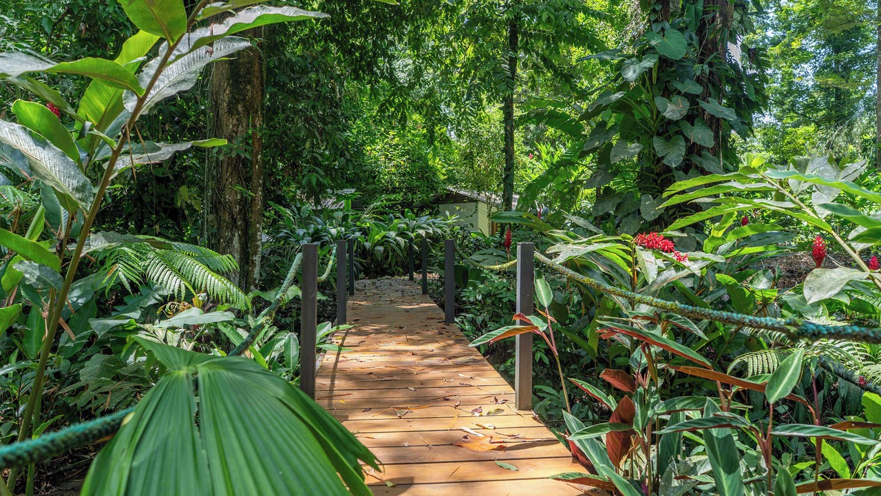 Photo of Outdoor in Manzanillo