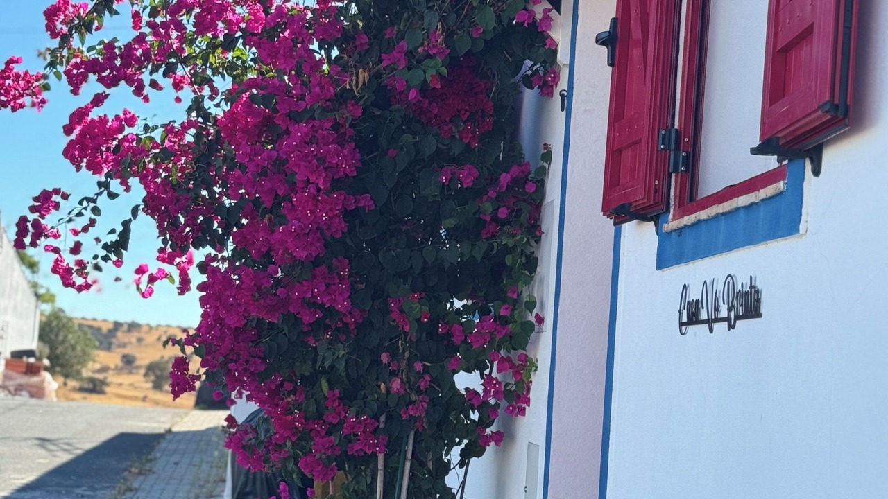 Photo of Outdoor in Mertola
