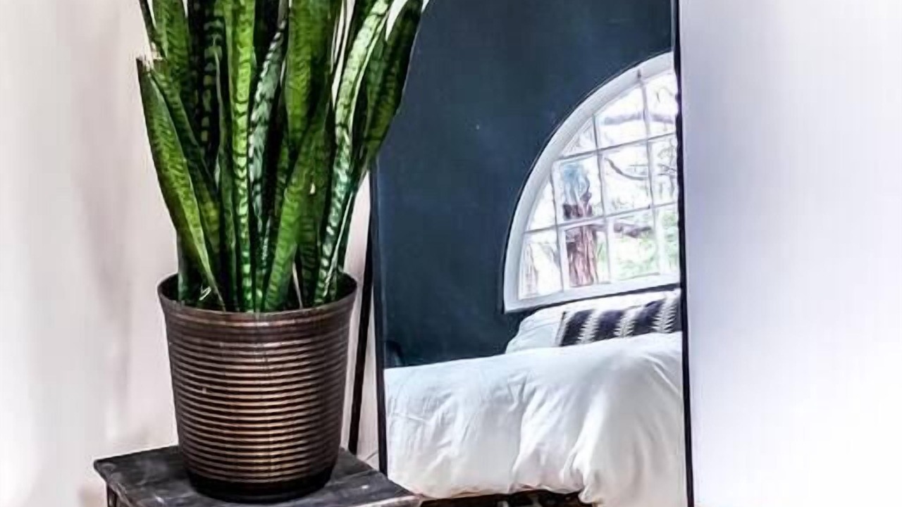 Photo of Bedroom in Idyllwild