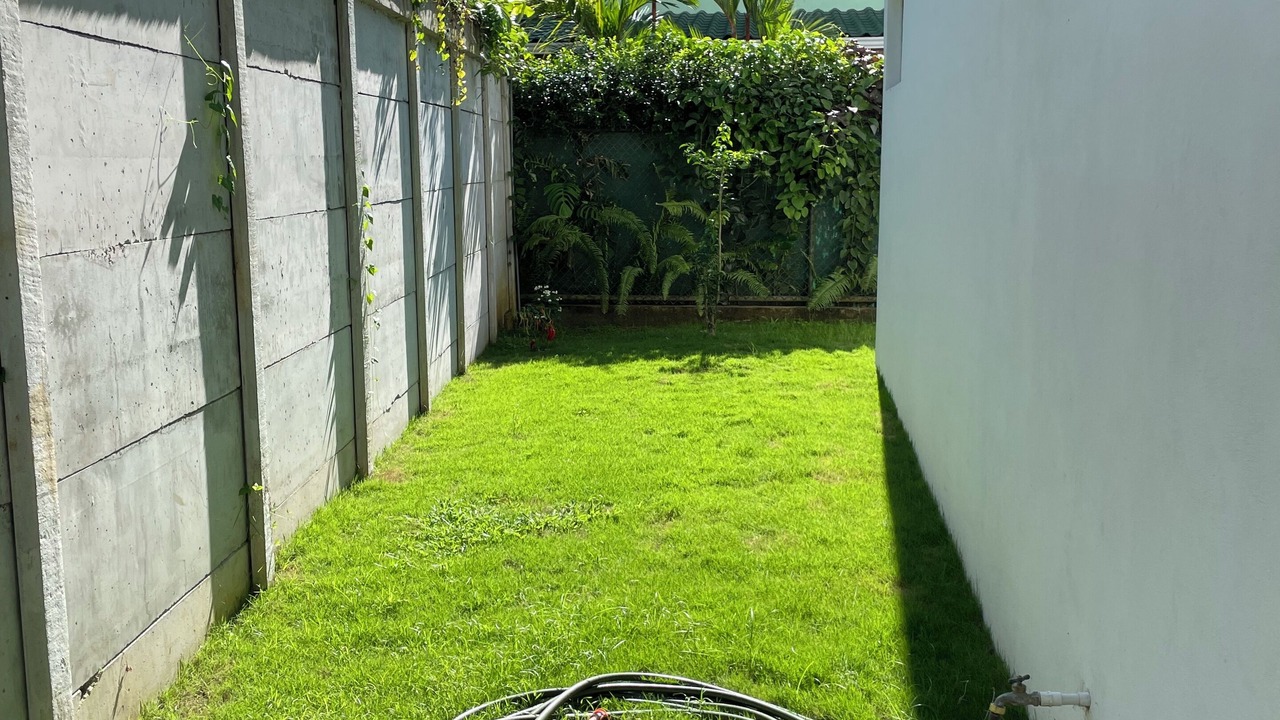 Photo of Outdoor in Puerto Viejo de Talamanca