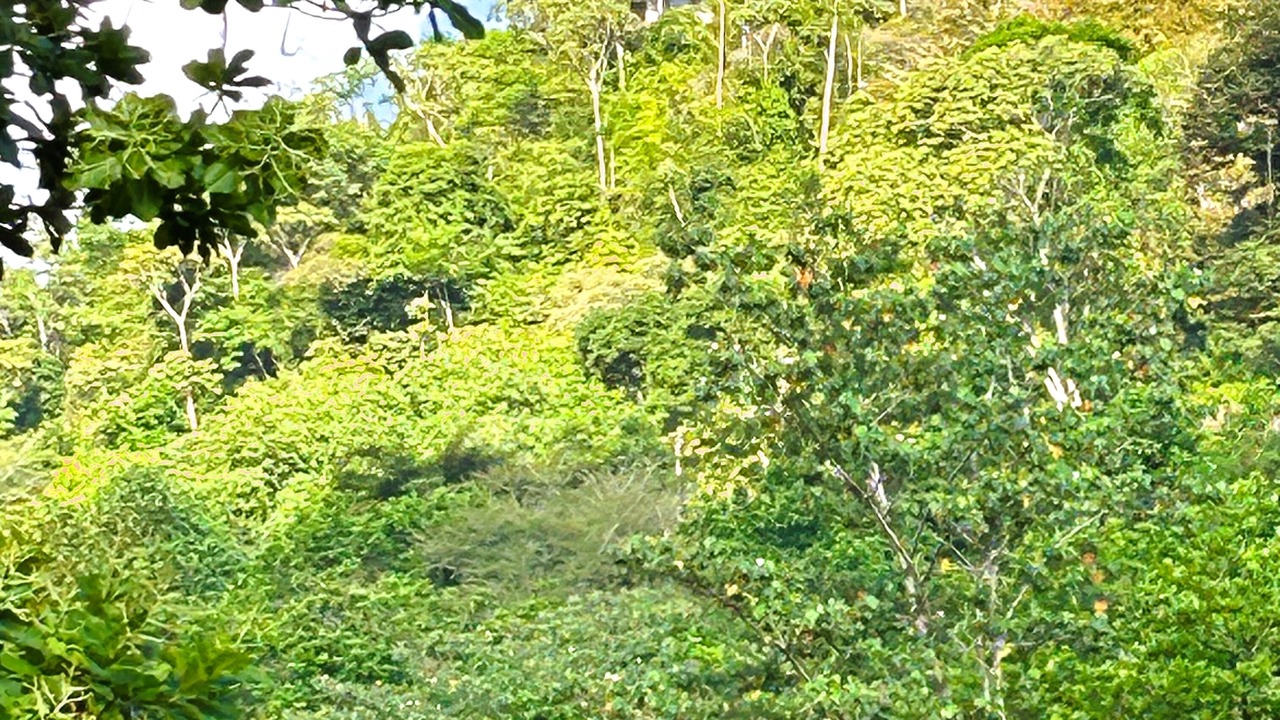 Photo of Others in Tres Rios
