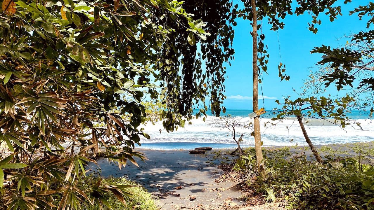 Photo of Others in Puerto Viejo de Talamanca