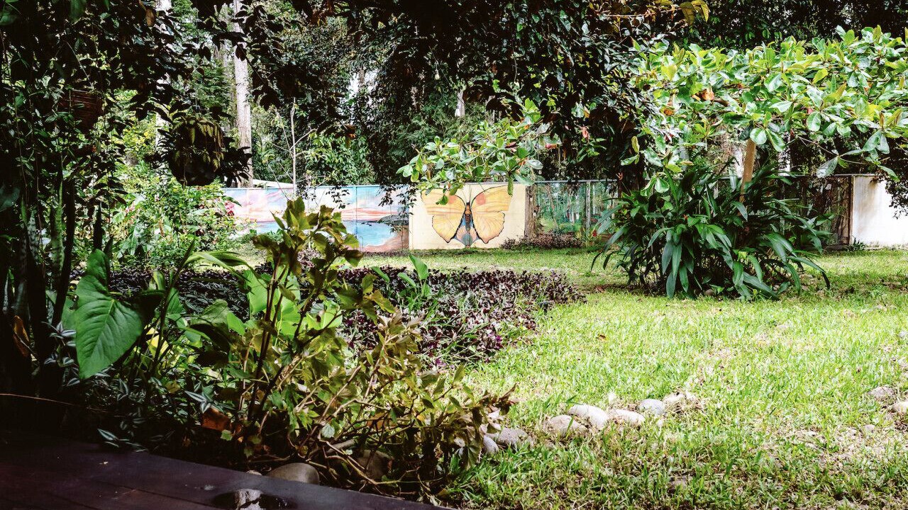 Photo of Outdoor in Puerto Viejo de Talamanca