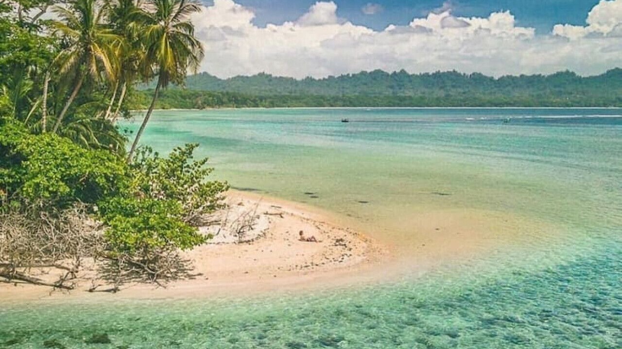 Photo of Others in Puerto Viejo de Talamanca