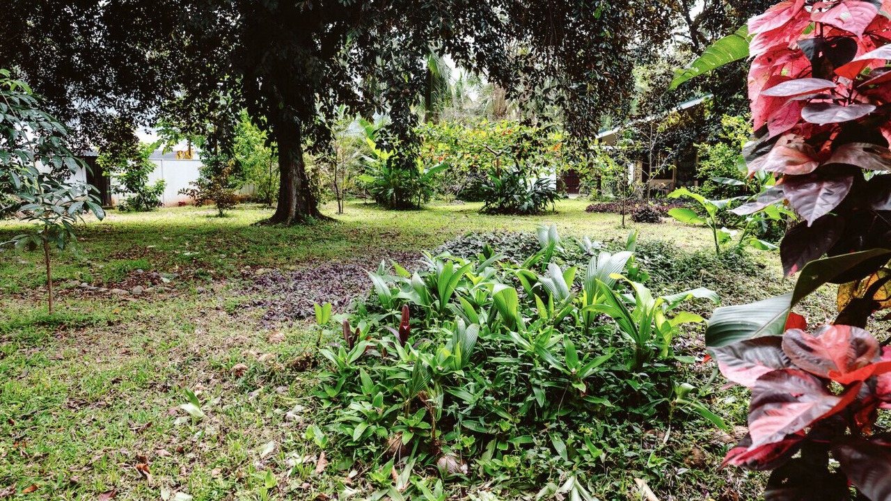 Photo of Outdoor in Puerto Viejo de Talamanca