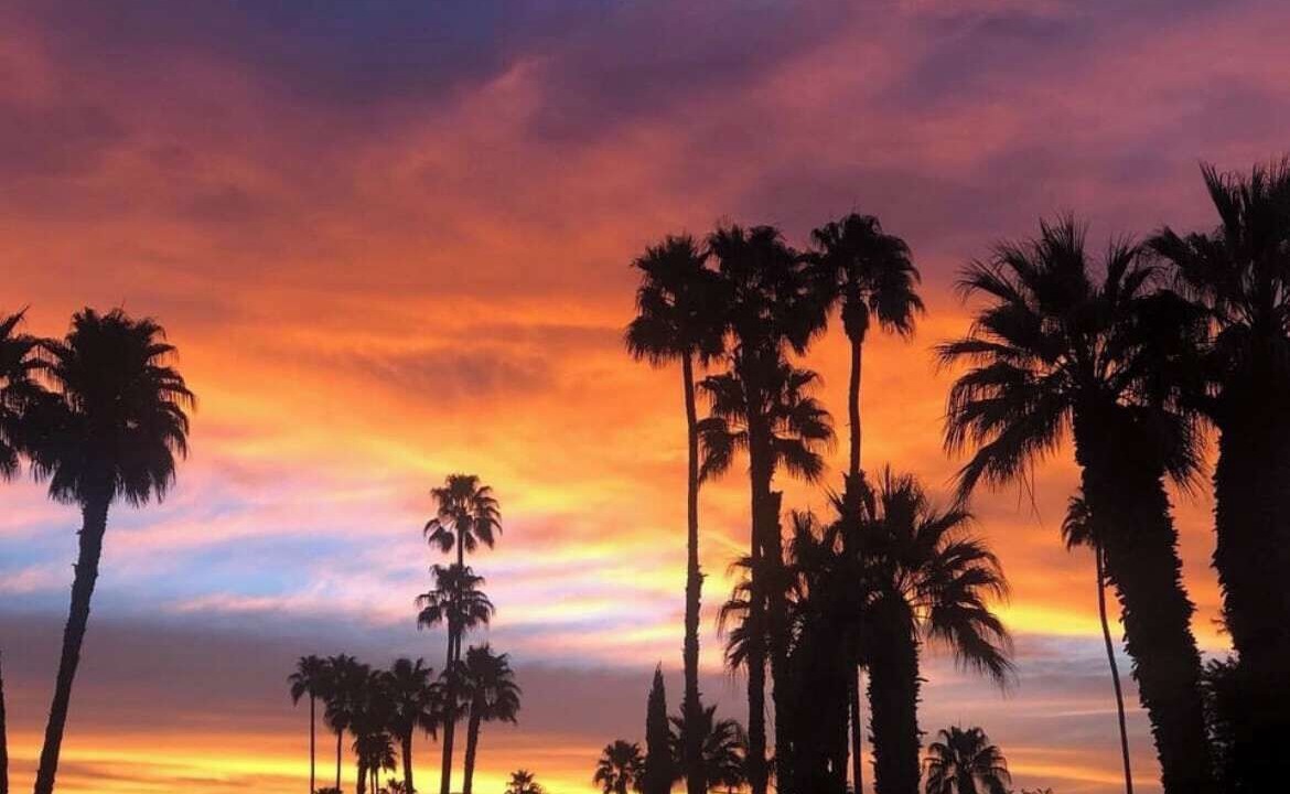 Photo of Others in Palm Springs