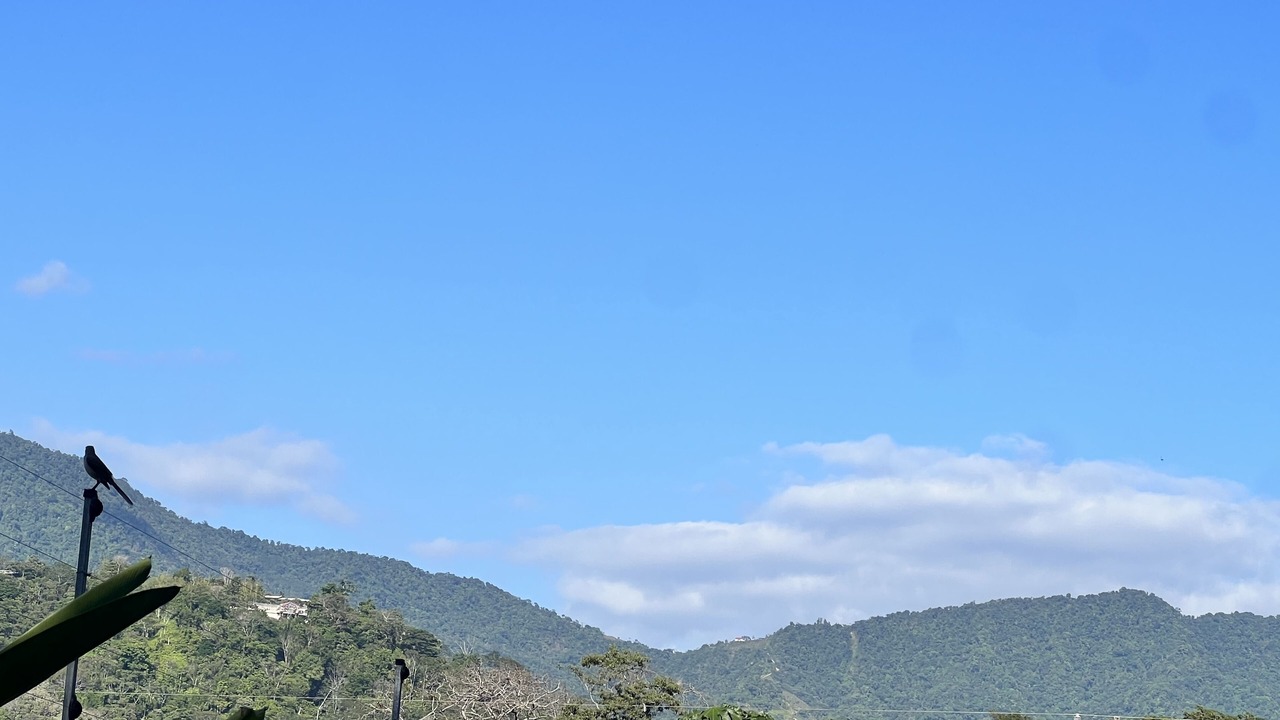 Photo of Others in Uvita