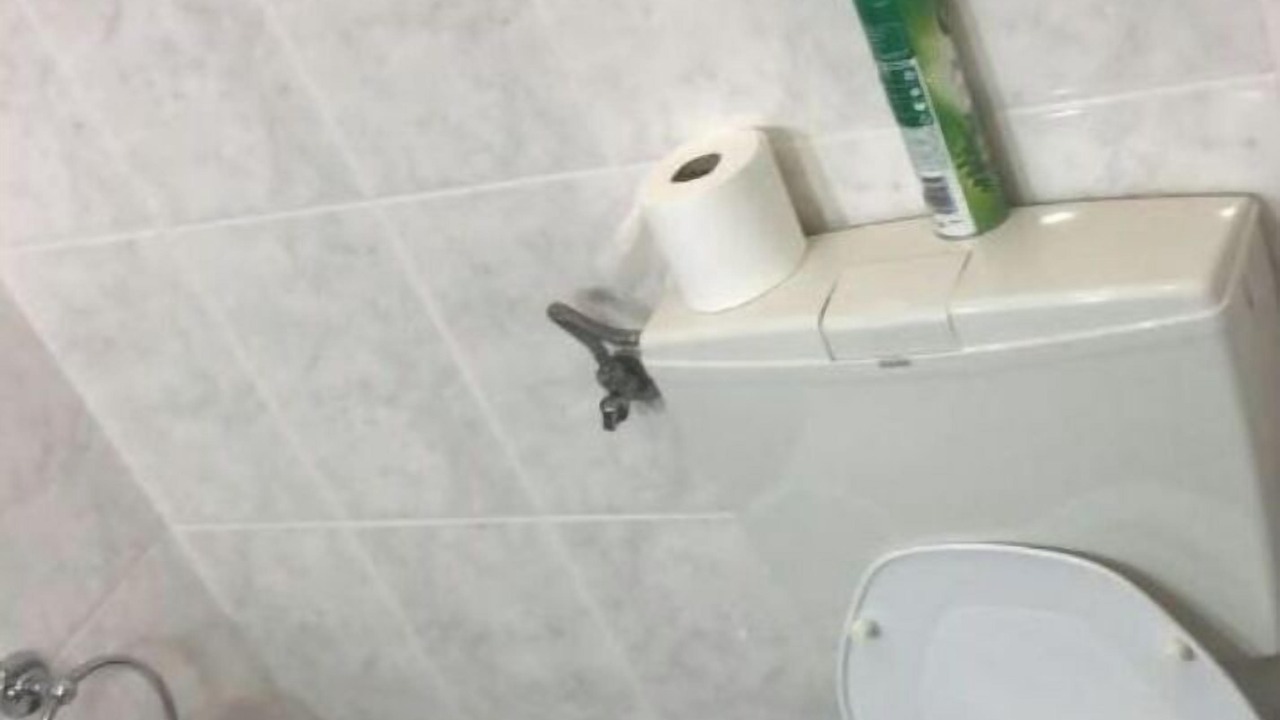Photo of Bathroom in Vila Nova de Foz Coa