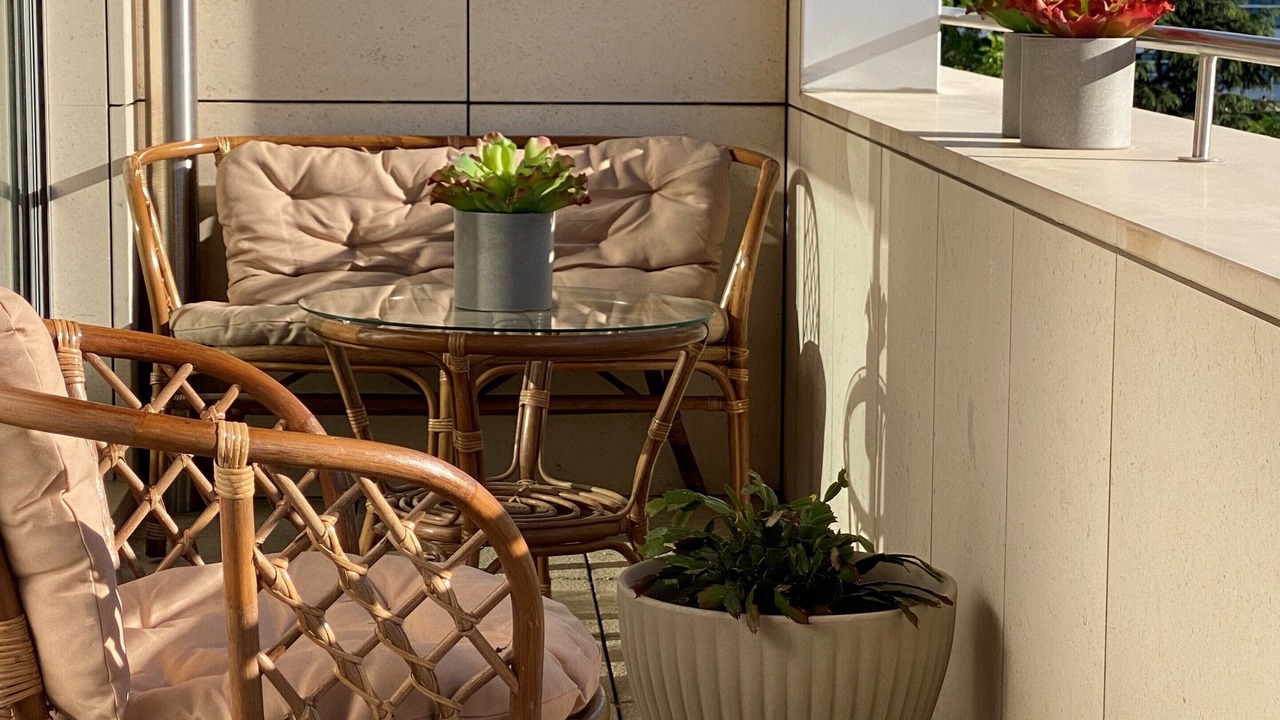 Photo of Outdoor in Viseu