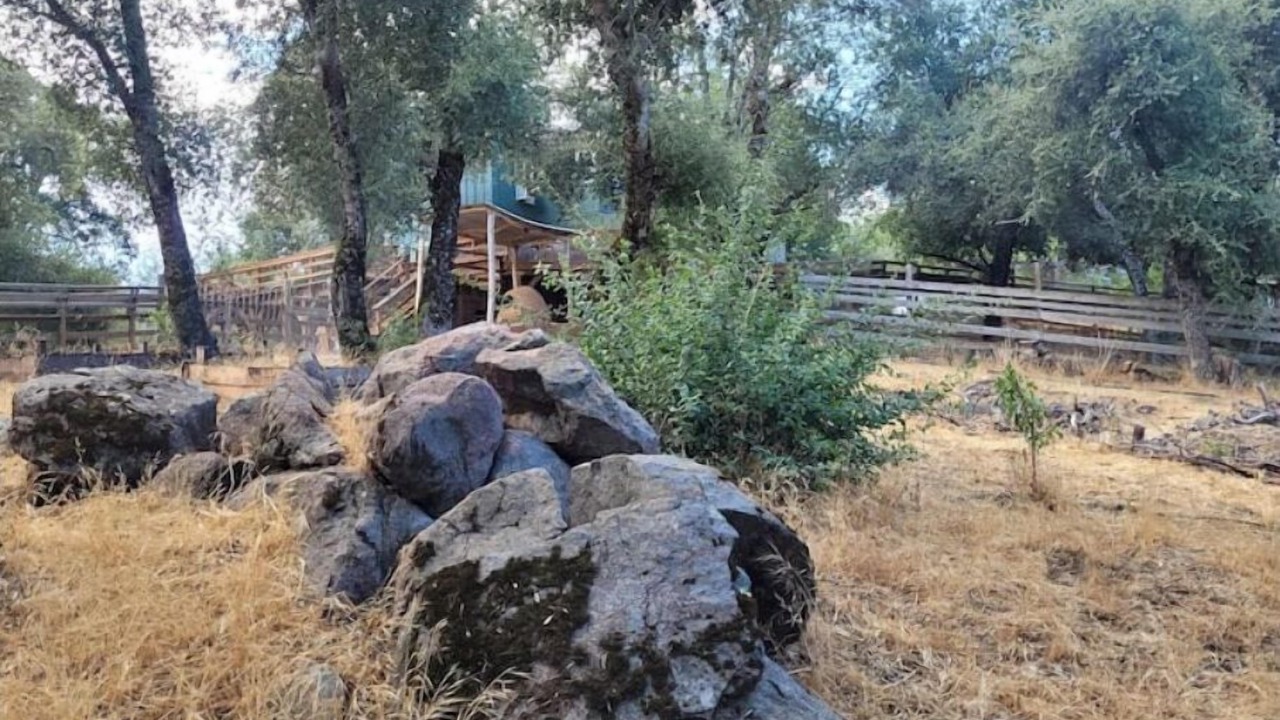 Photo of Others in Julian