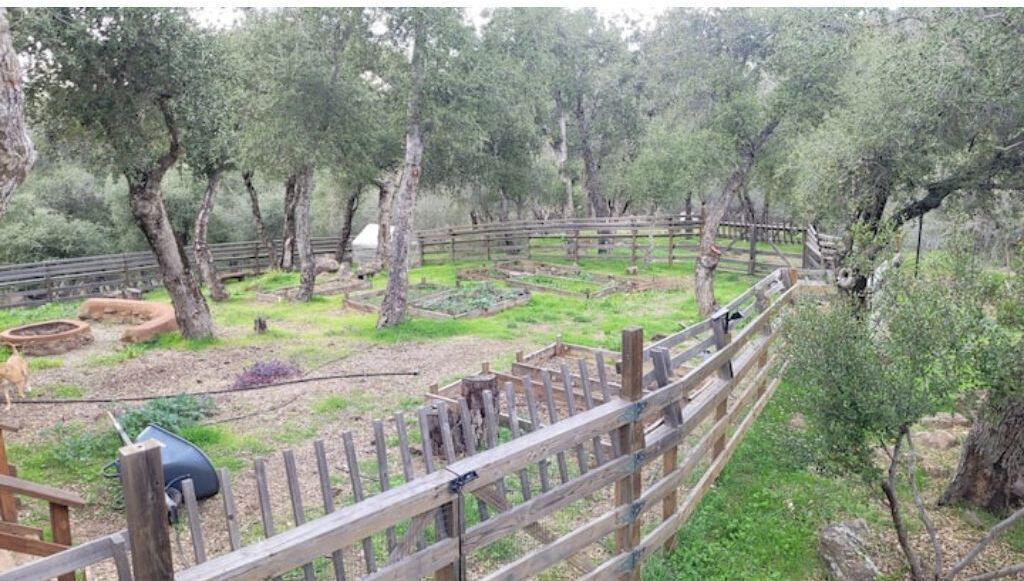 Photo of Outdoor in Julian