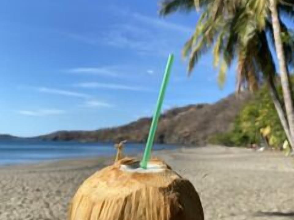 Photo of Others in Playa Hermosa
