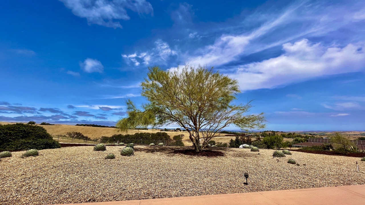 Photo of Outdoor in Templeton