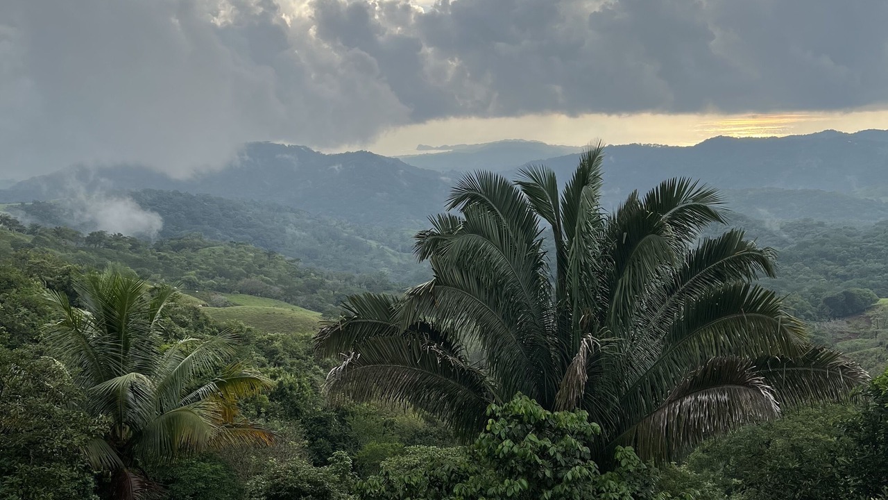 Photo of Outdoor in Nosara