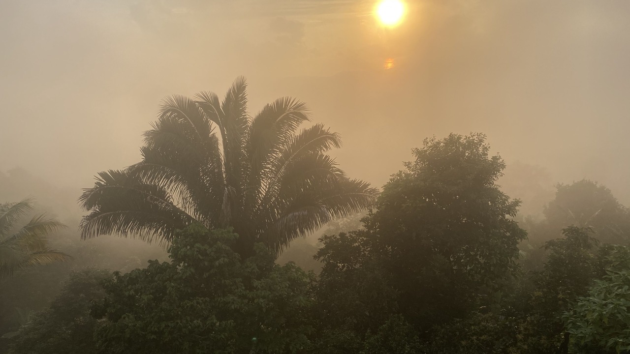 Photo of Outdoor in Nosara