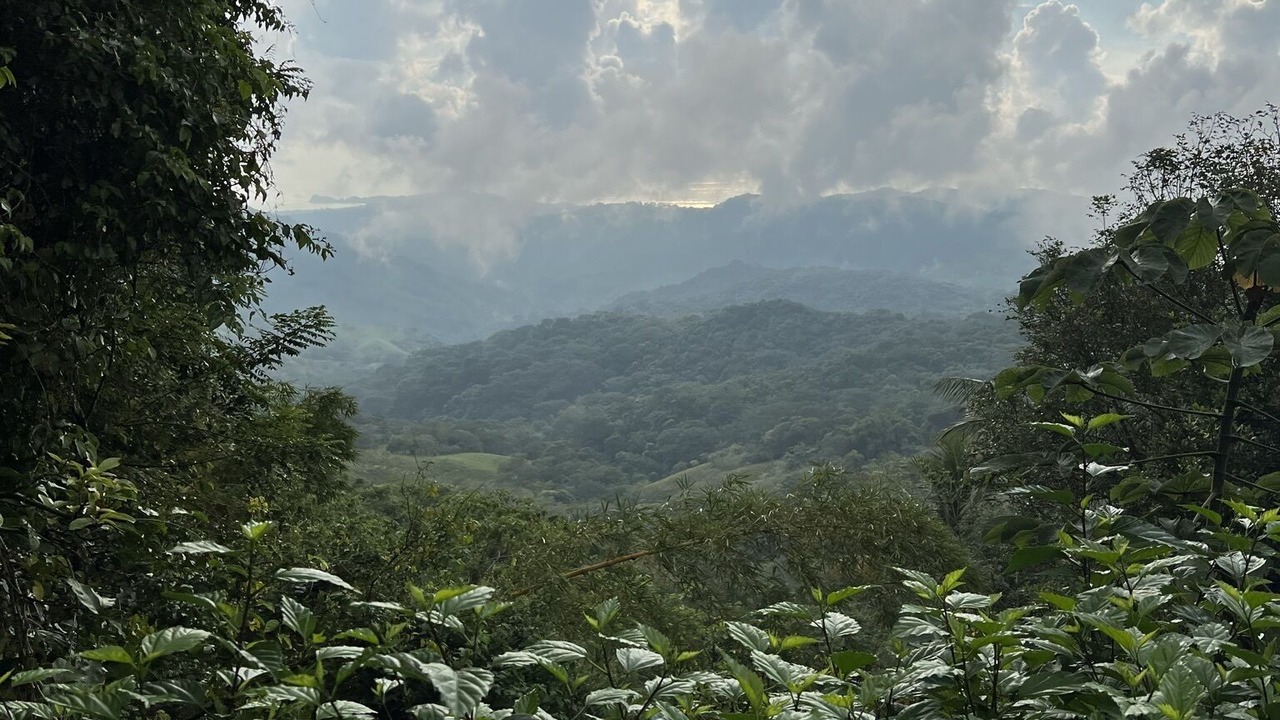 Photo of Outdoor in Nosara