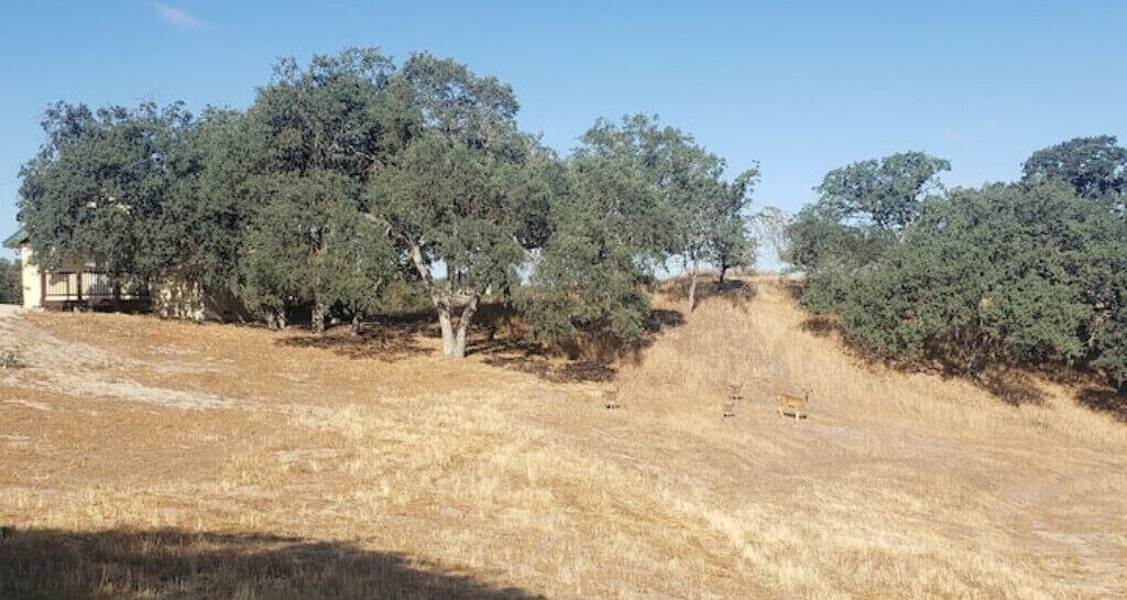 Photo of Outdoor in Creston