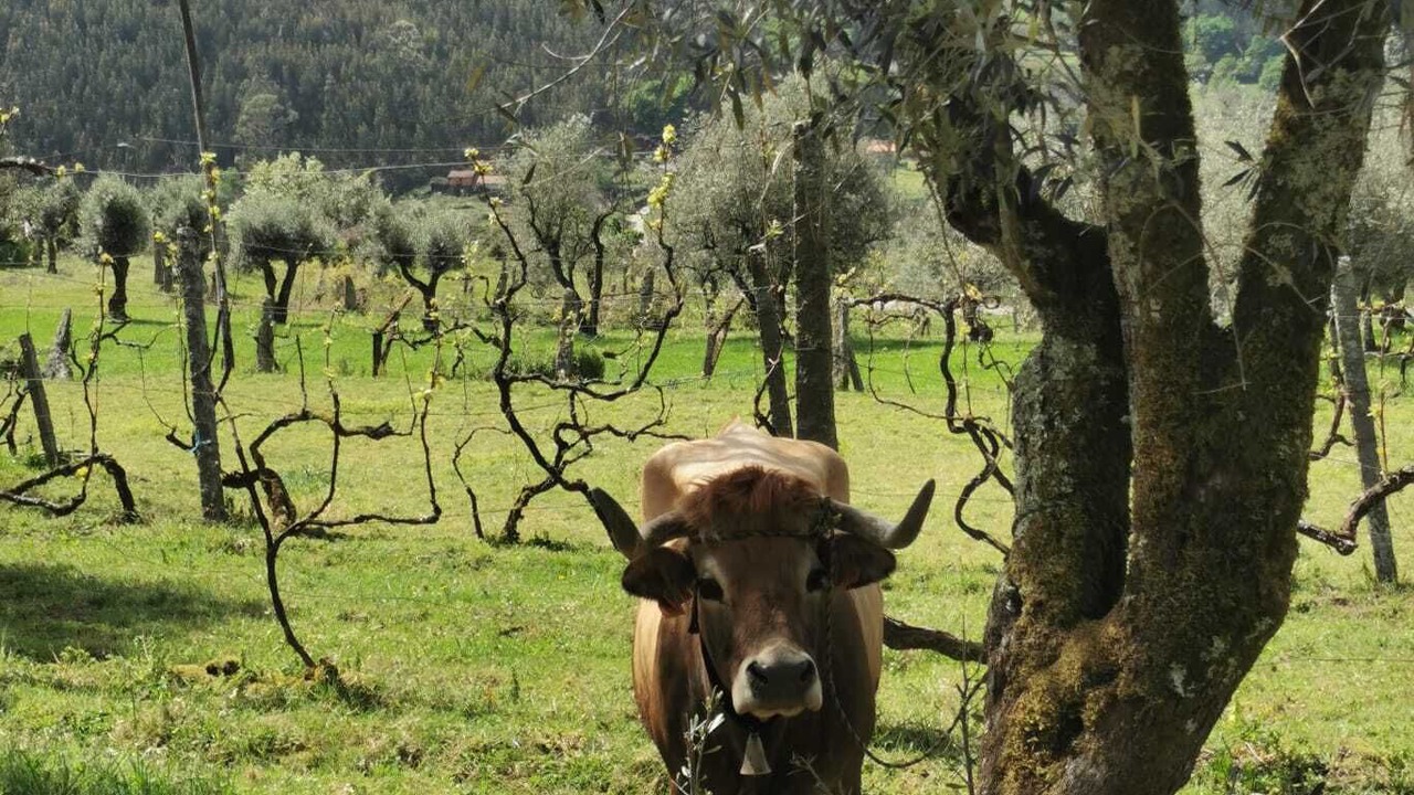 Photo of Others in Meada