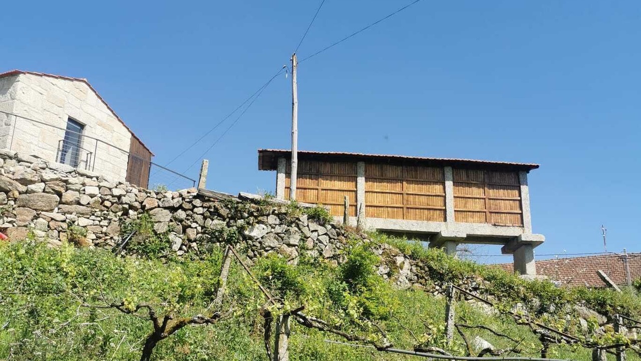 Photo of Outdoor in Meada