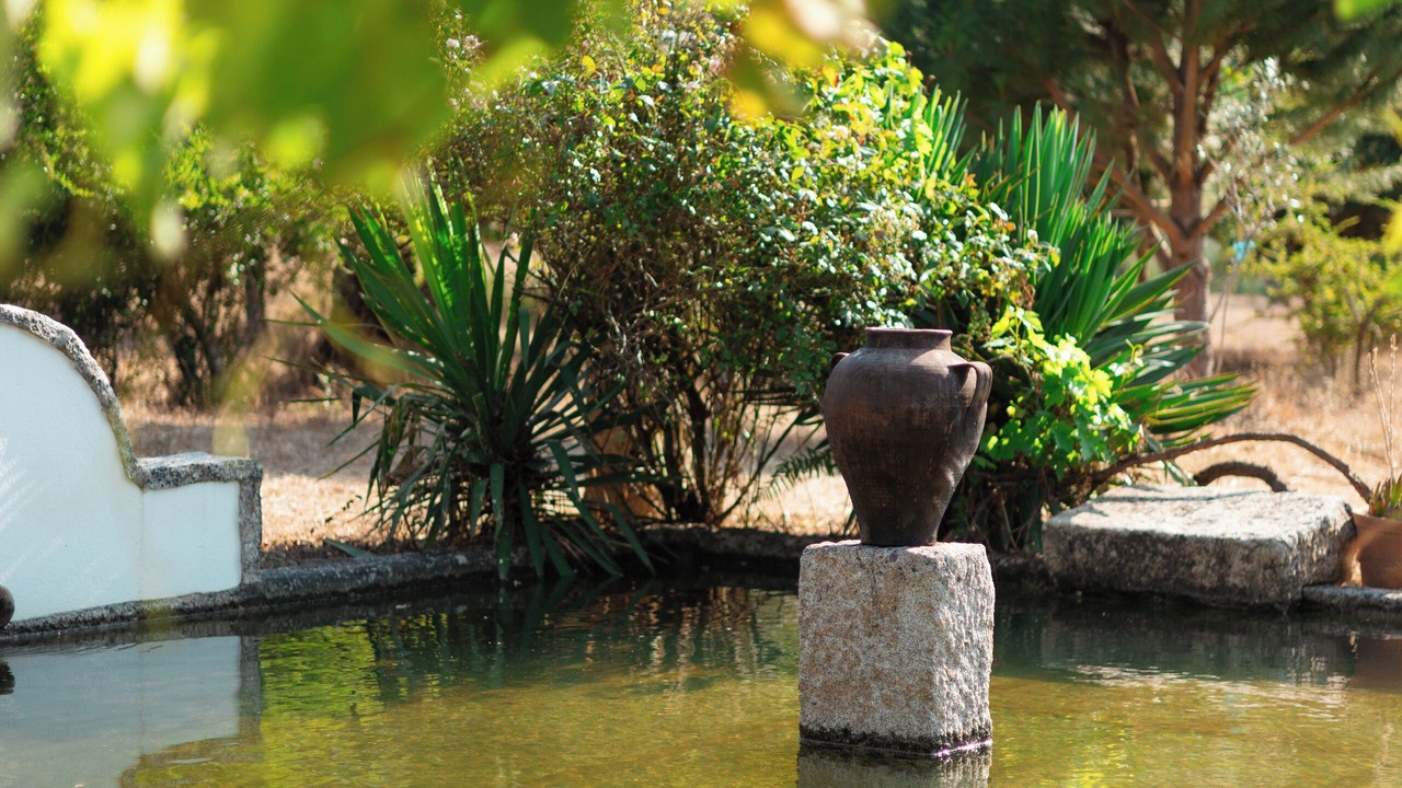 Photo of Outdoor in Vila Ruiva