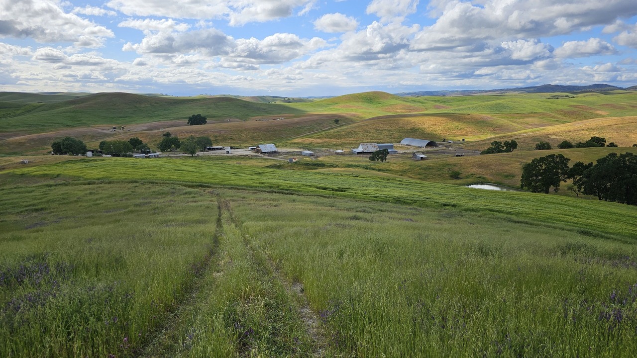 Photo of Outdoor in San Miguel