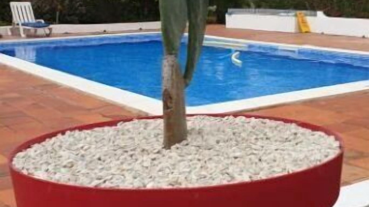 Photo of Outdoor in Sao Martinho do Porto