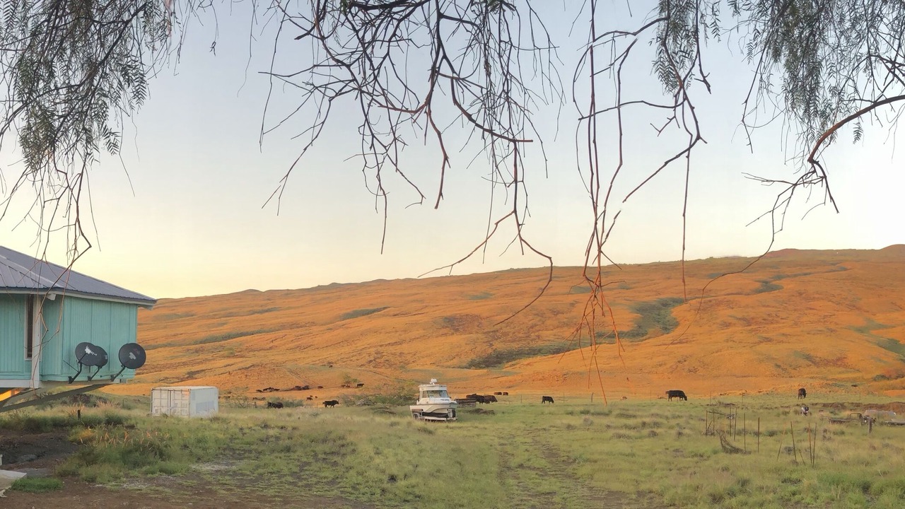 Photo of Outdoor in Kamuela