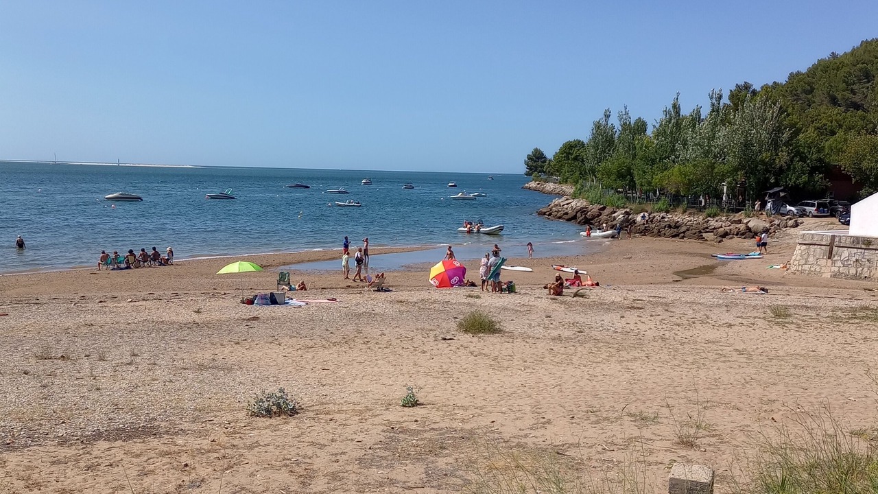 Photo of Others in Sao Simao