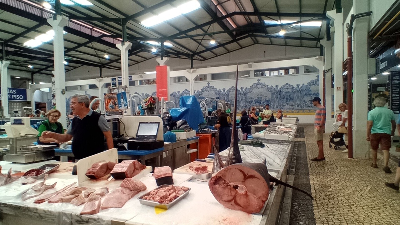 Photo of Others in Sao Simao