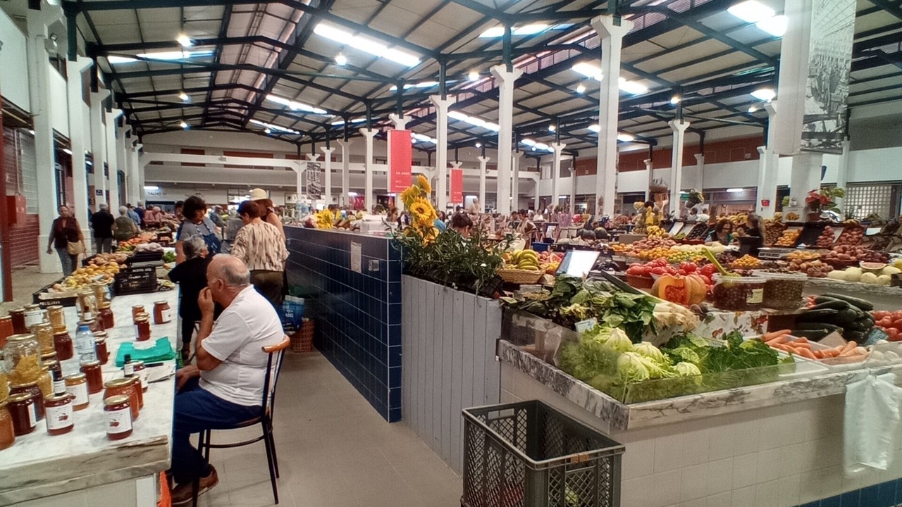 Photo of Others in Sao Simao