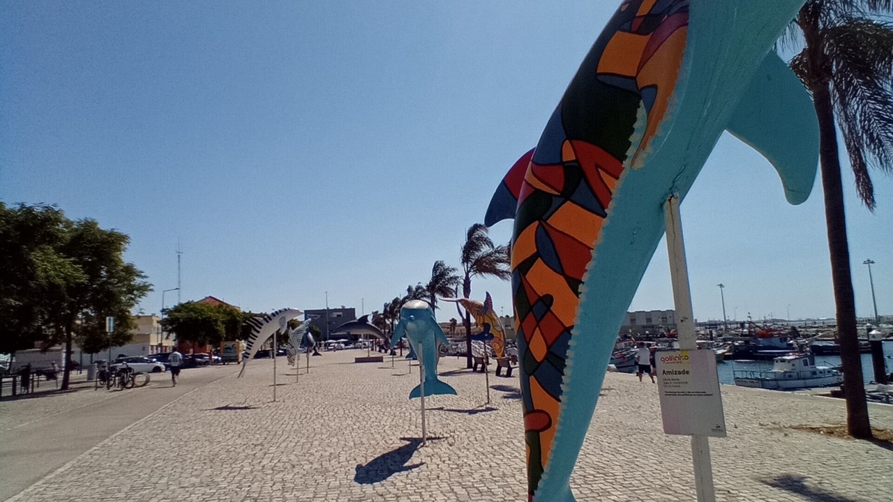 Photo of Outdoor in Sao Simao