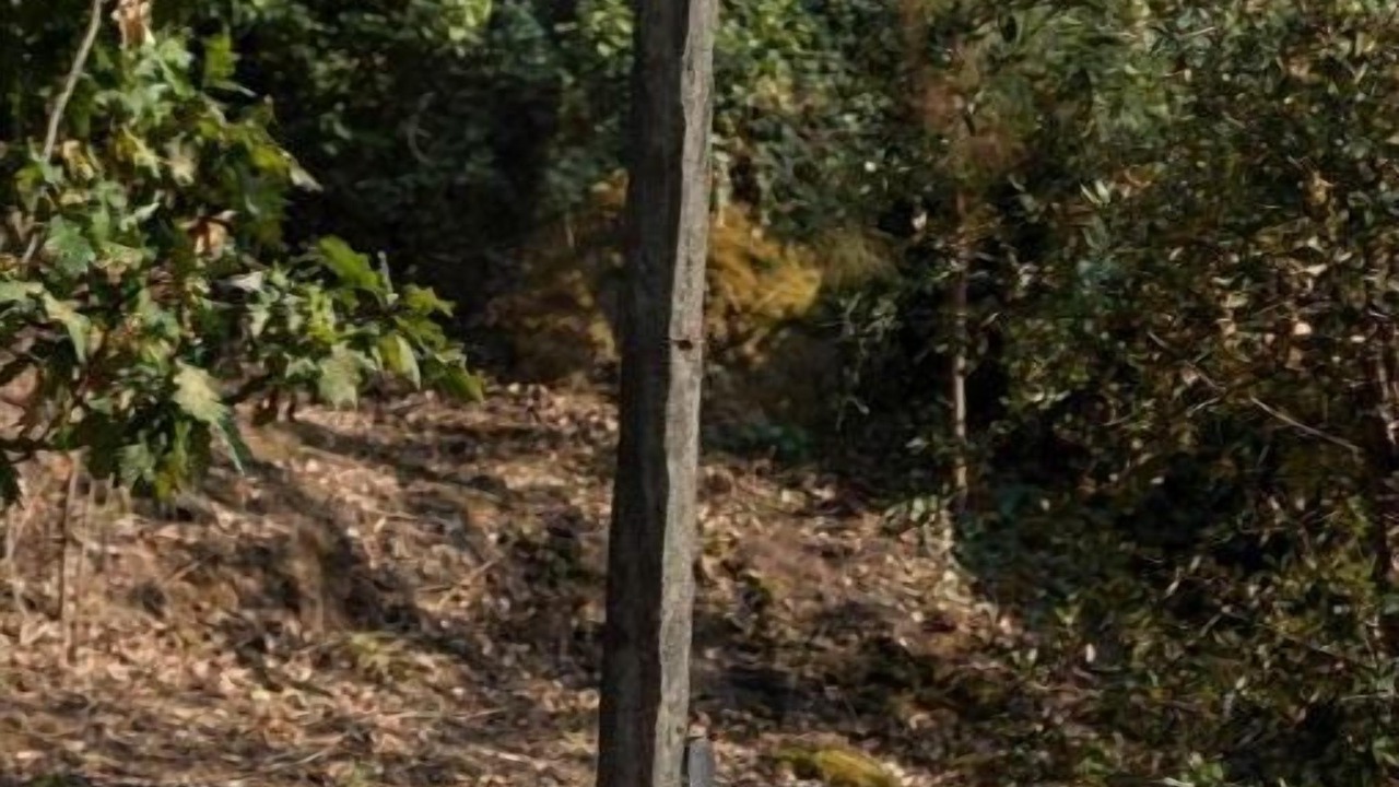 Photo of Others in Barro
